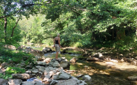 Rivier