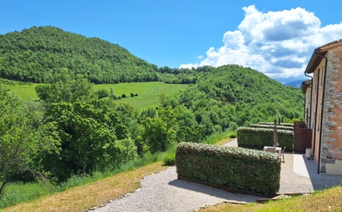Overzicht terrasjes