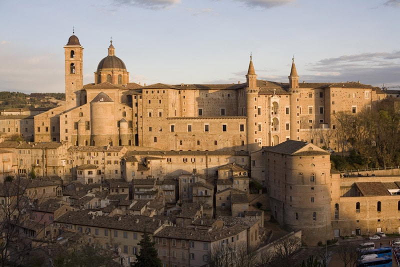 urbino