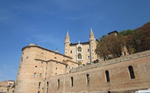 Urbino